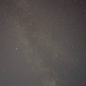 Meet your Posher, Martha